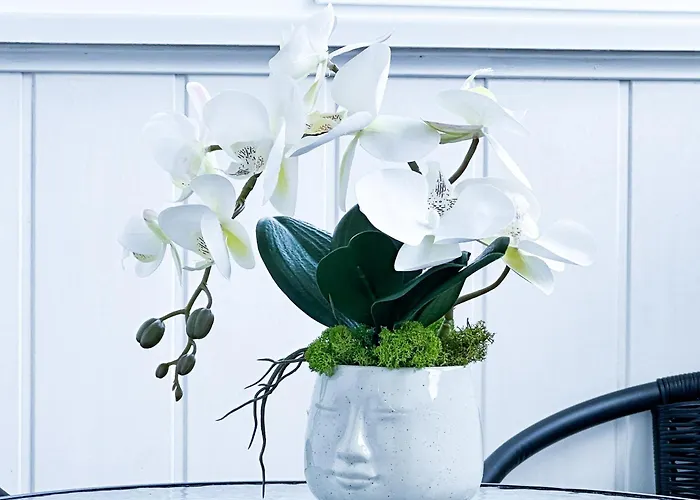 A Cozy Next To A Port Lägenhet *